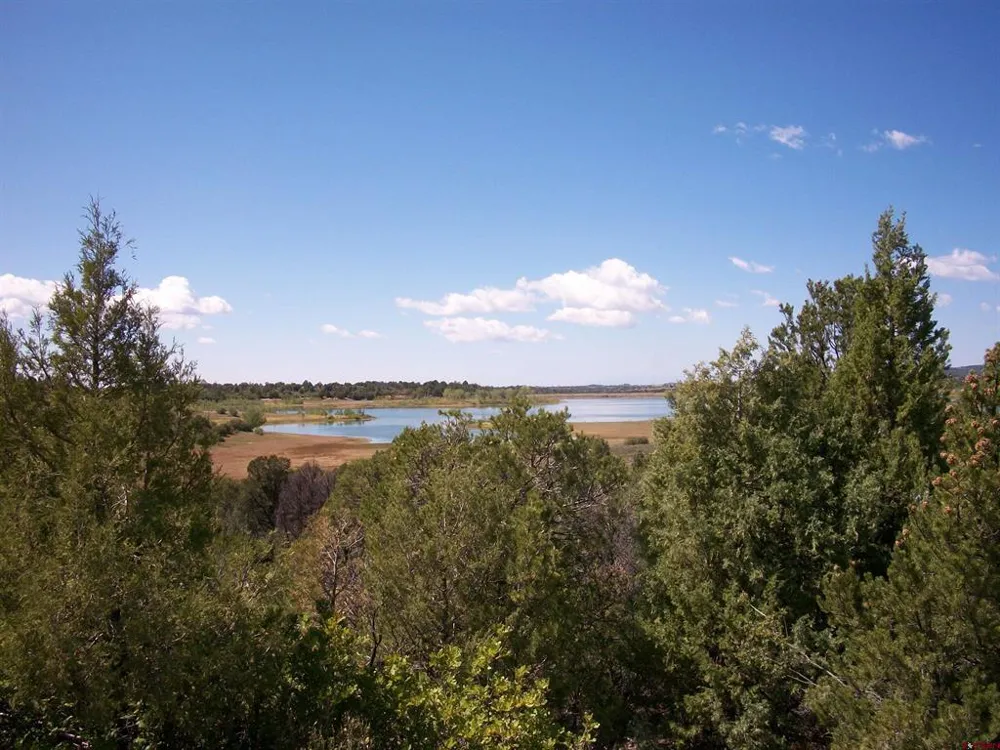 13989 Road 35.6 Mancos, CO 81328
