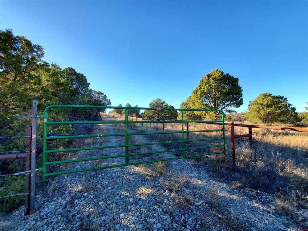 13989 Road 35.6 Mancos, CO 81328