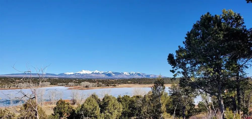 13989 Road 35.6 Mancos, CO 81328