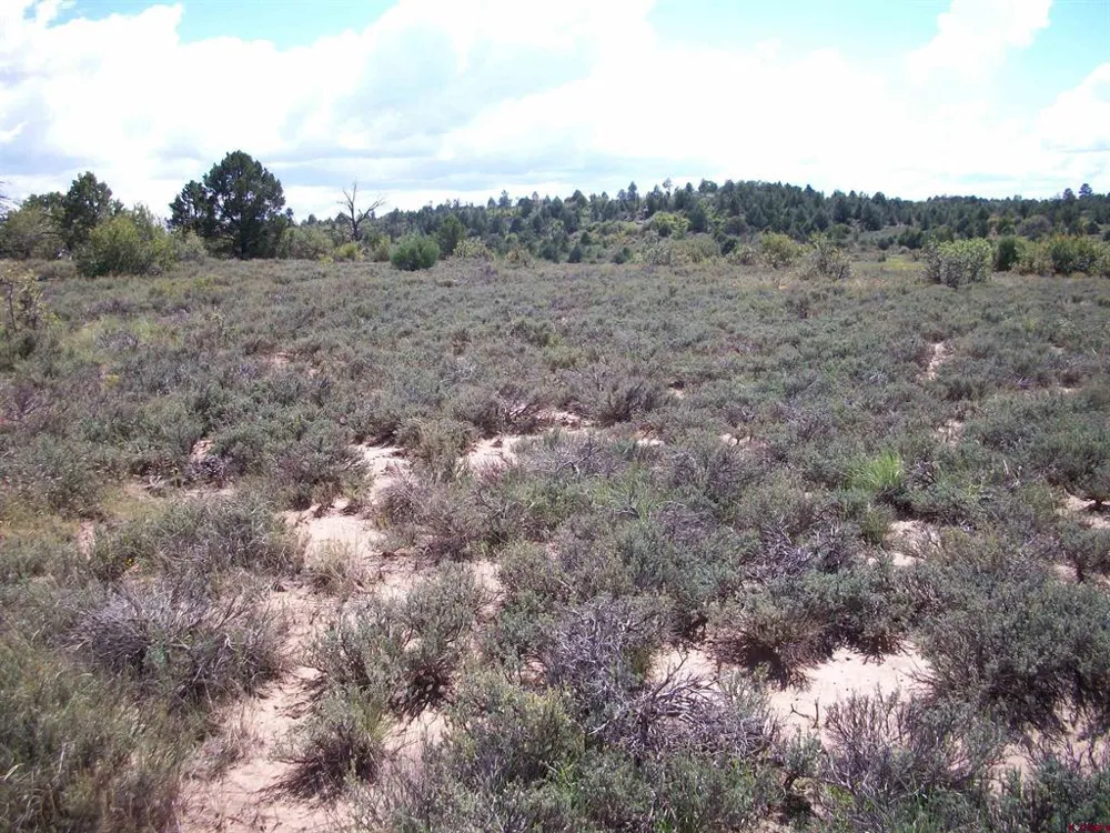 13989 Road 35.6 Mancos, CO 81328