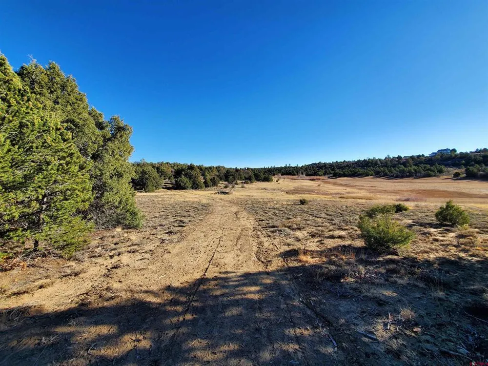 13989 Road 35.6 Mancos, CO 81328