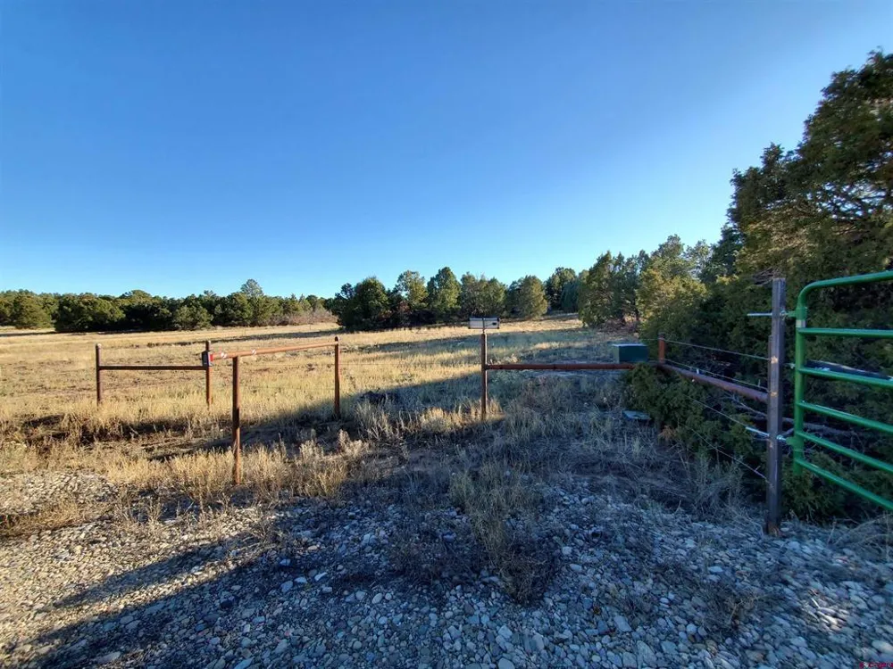 13989 Road 35.6 Mancos, CO 81328
