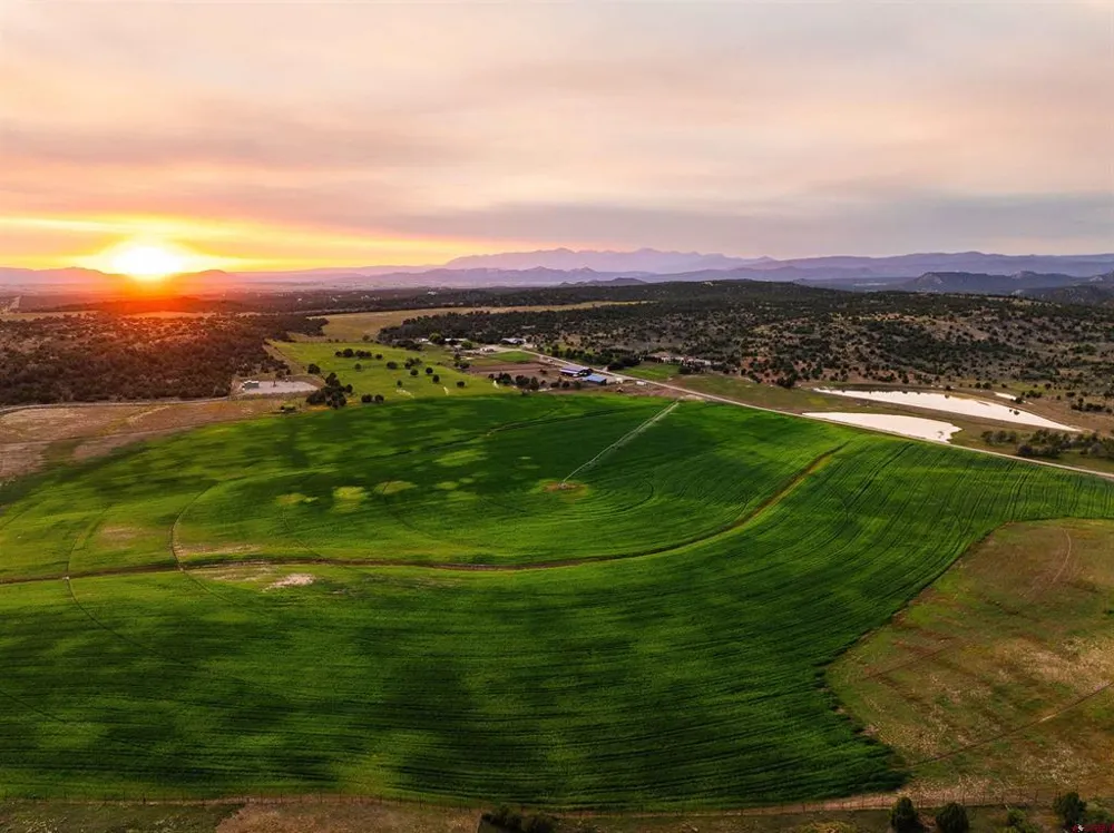 543 Silver Hills Road Bayfield, CO 81122