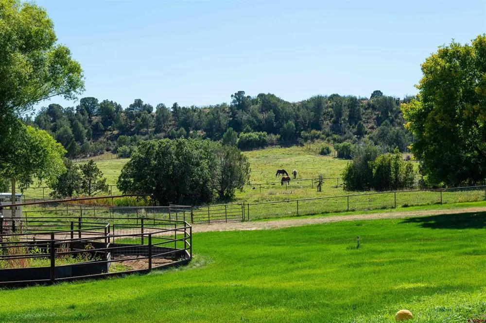 543 Silver Hills Road Bayfield, CO 81122