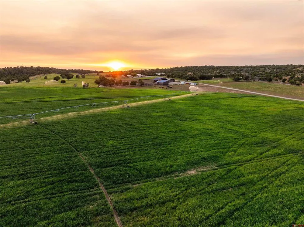 543 Silver Hills Road Bayfield, CO 81122