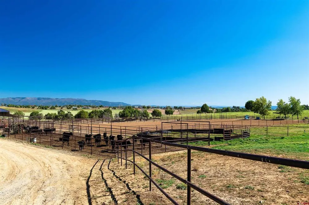 543 Silver Hills Road Bayfield, CO 81122