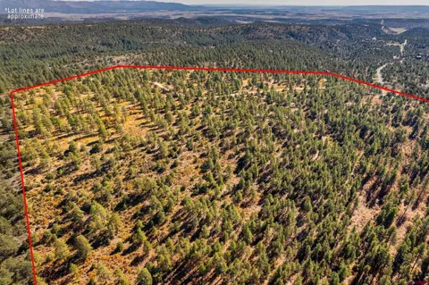 3 Foxfire Ranch