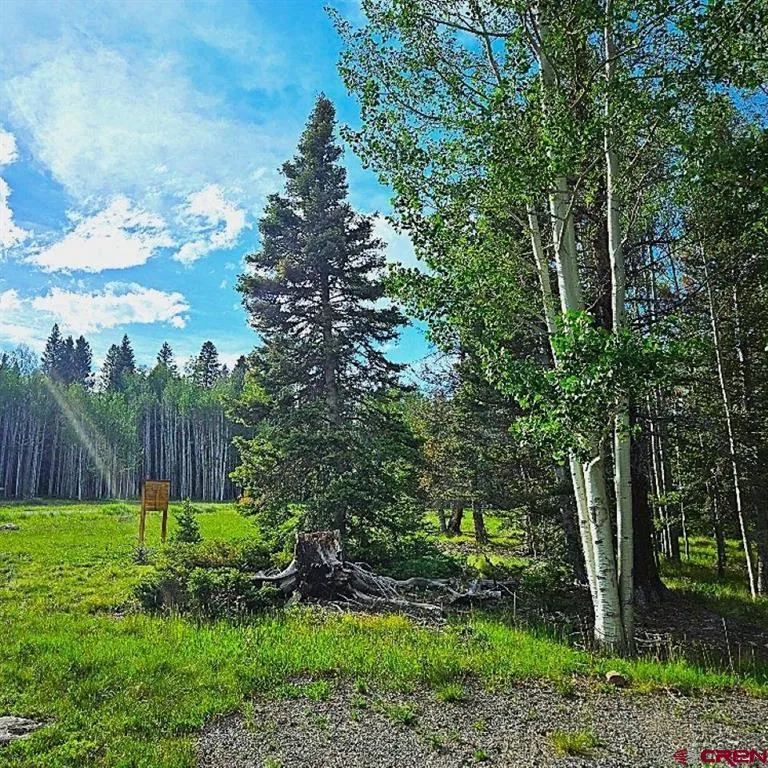160 Lake Road Cimarron, CO 81220