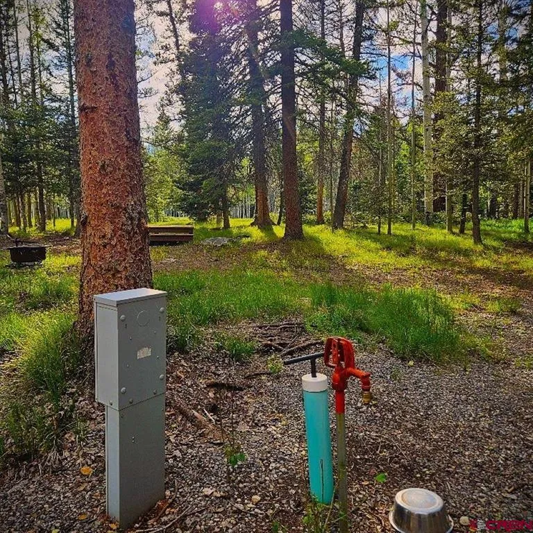 160 Lake Road Cimarron, CO 81220