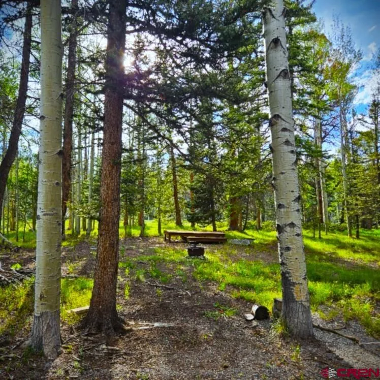 160 Lake Road Cimarron, CO 81220