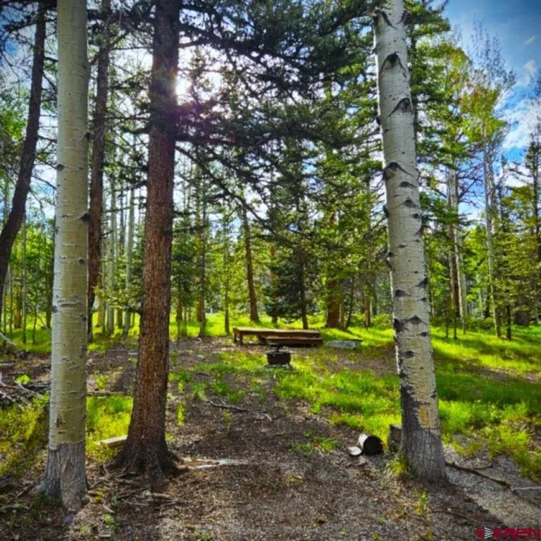 160 Lake Road Cimarron, CO 81220