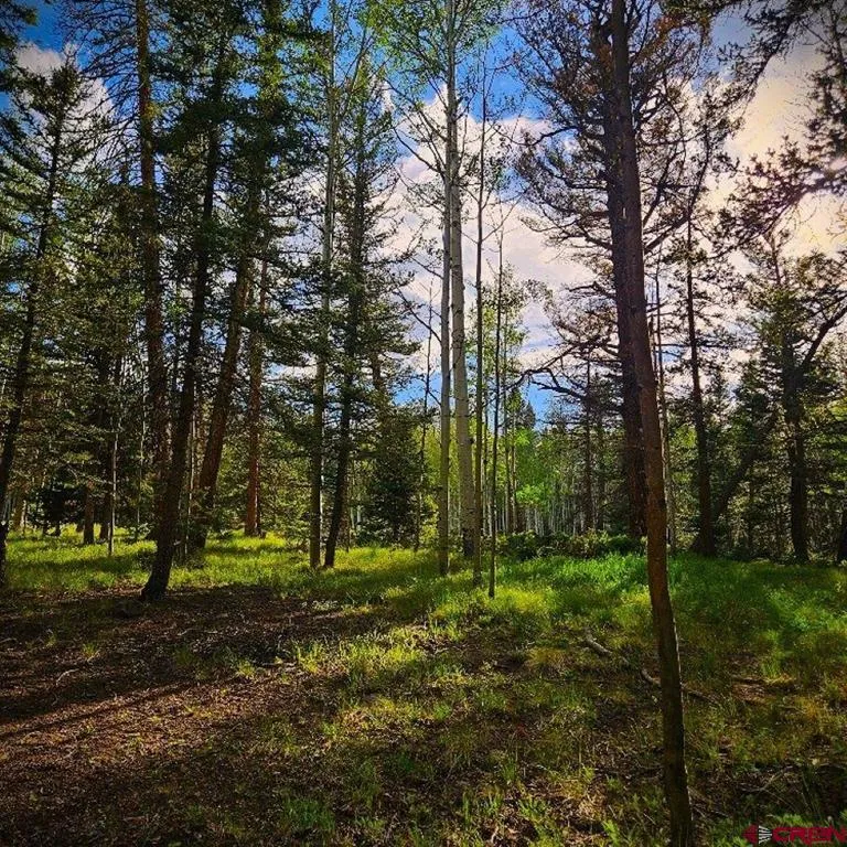 160 Lake Road Cimarron, CO 81220