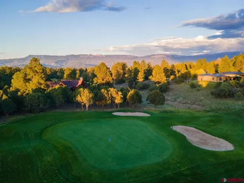 Pronghorn Lane