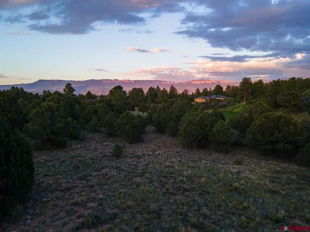 Pronghorn Lane Ridgway, CO 81432