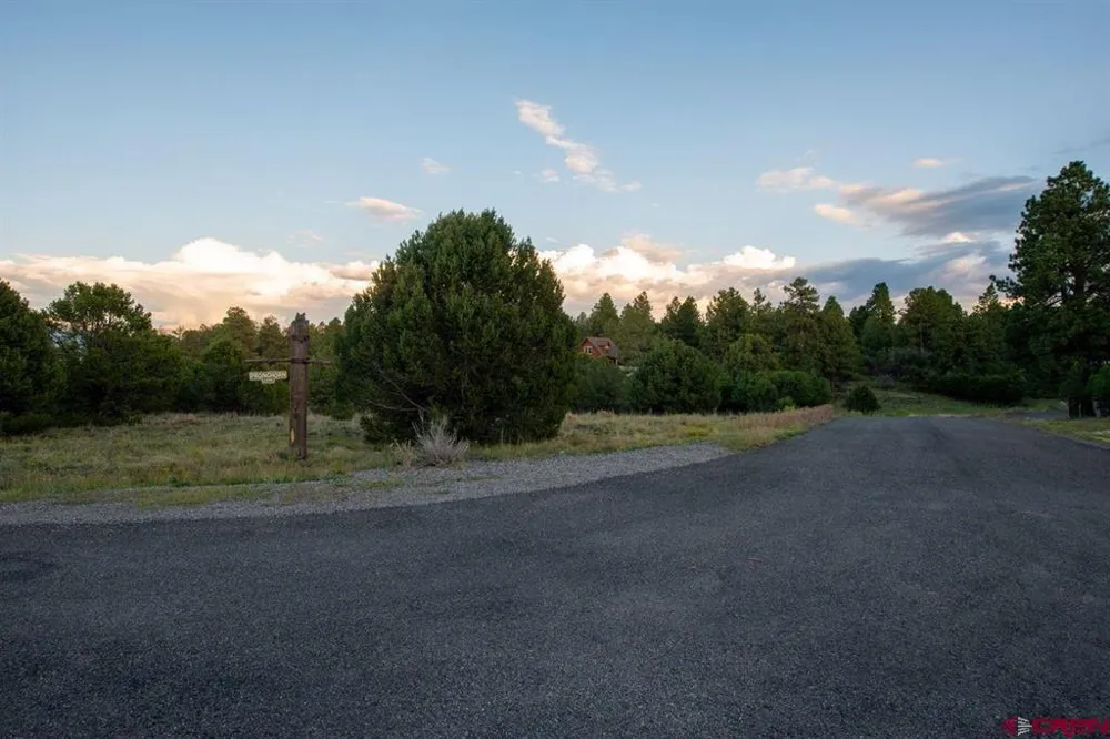 Pronghorn Lane Ridgway, CO 81432