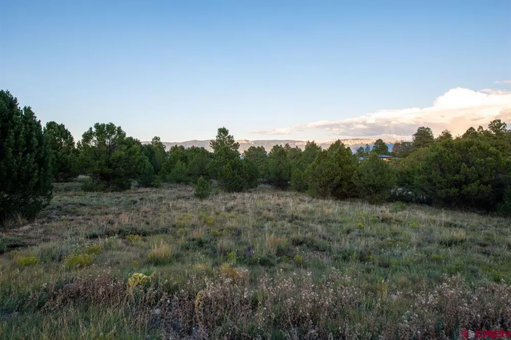 Pronghorn Lane Ridgway, CO 81432