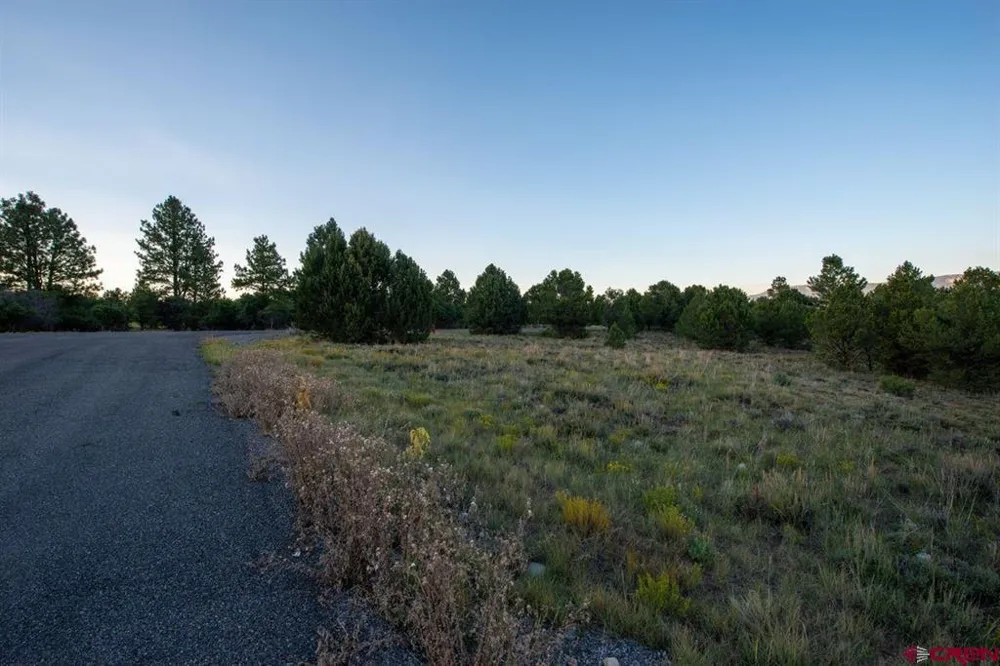 Pronghorn Lane Ridgway, CO 81432