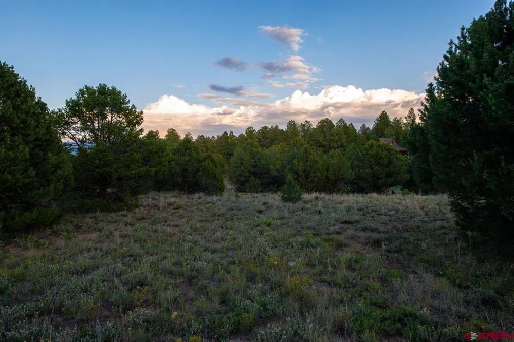 Pronghorn Lane Ridgway, CO 81432