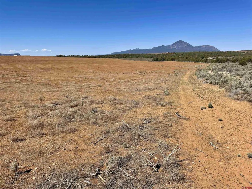 1 Road K.3 Cortez, CO 81321
