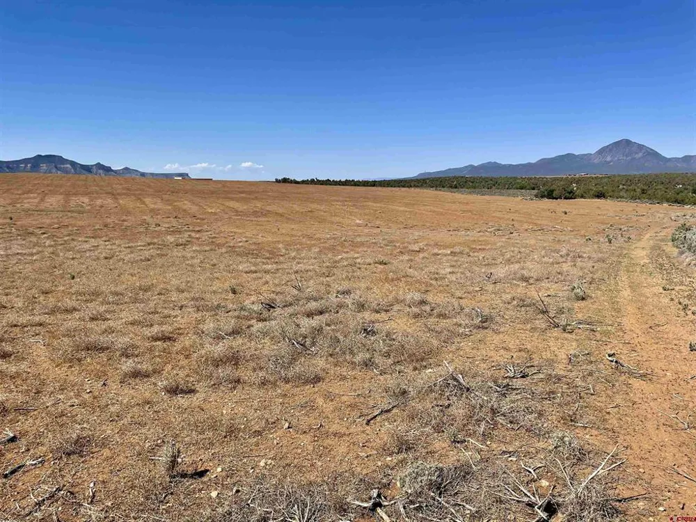 1 Road K.3 Cortez, CO 81321