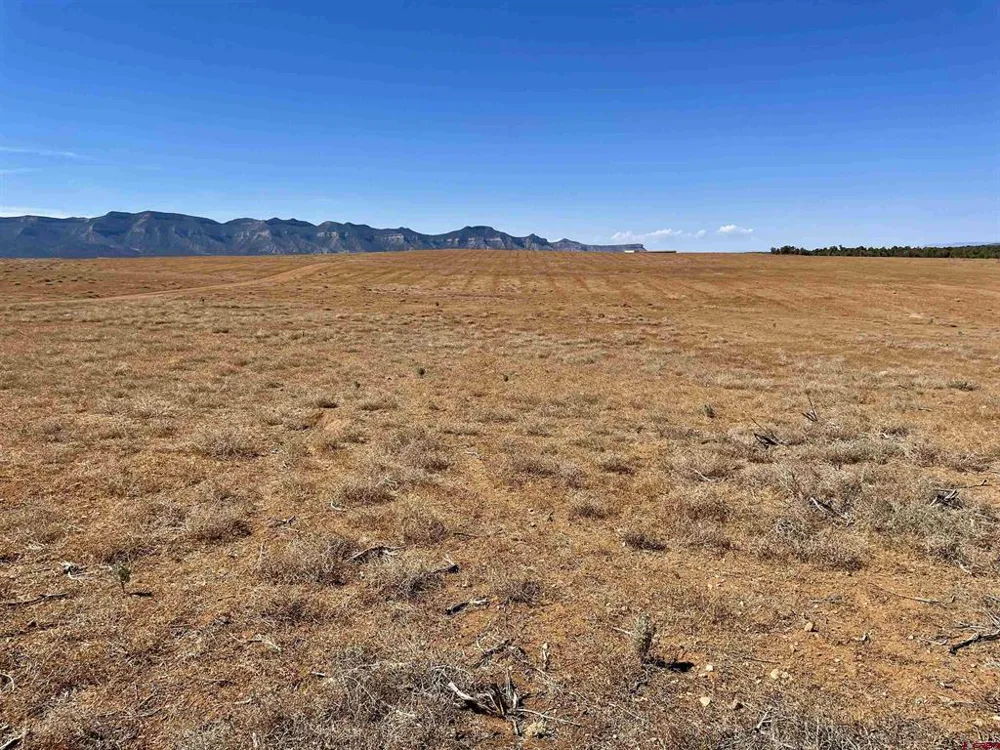 1 Road K.3 Cortez, CO 81321