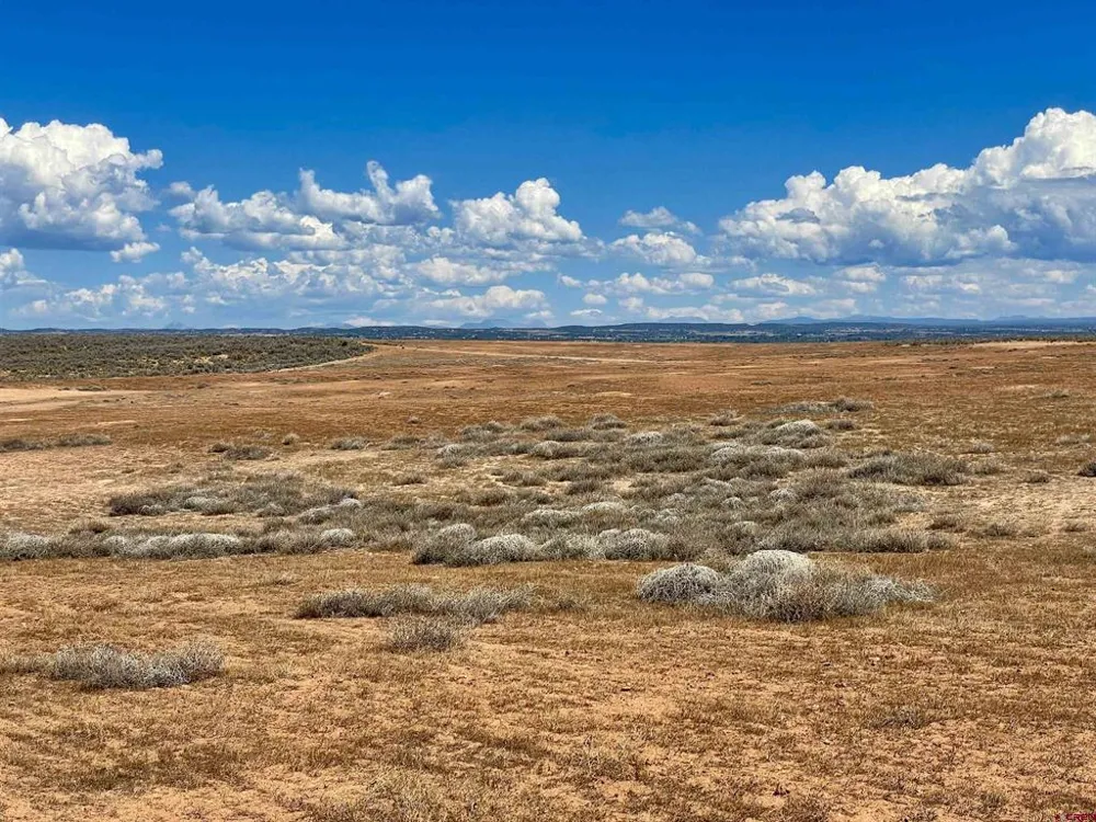 1 Road K.3 Cortez, CO 81321