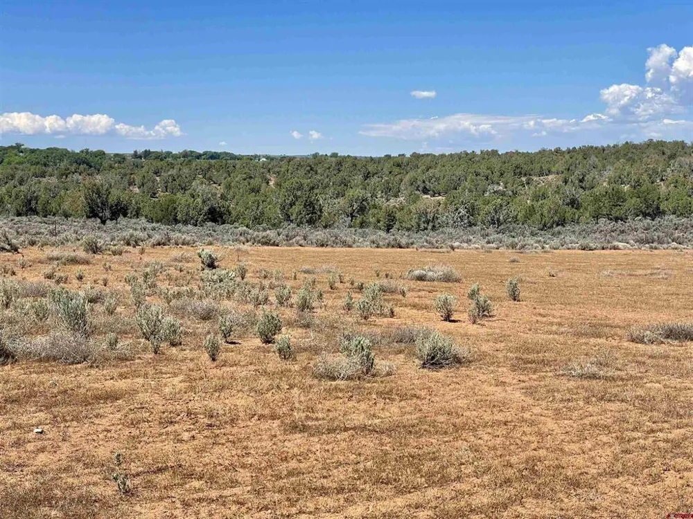 1 Road K.3 Cortez, CO 81321