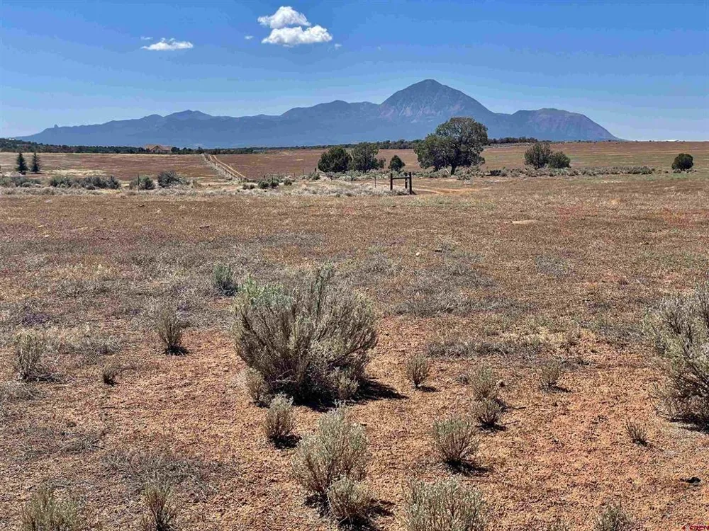 1 Road K.3 Cortez, CO 81321