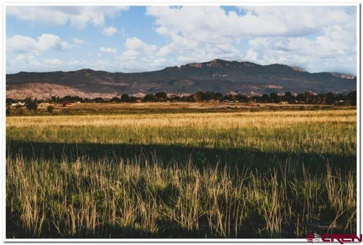 61067 HWY-50 Montrose, CO 81401