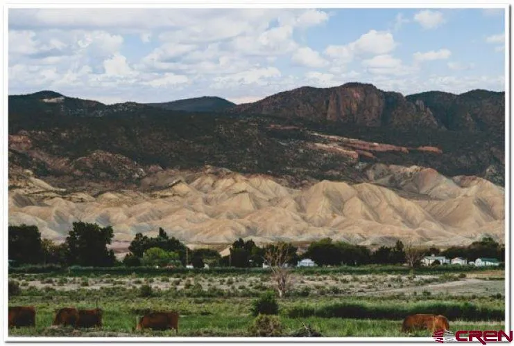61067 HWY-50 Montrose, CO 81401