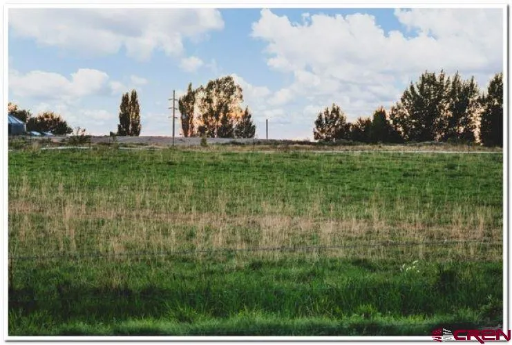 61067 HWY-50 Montrose, CO 81401