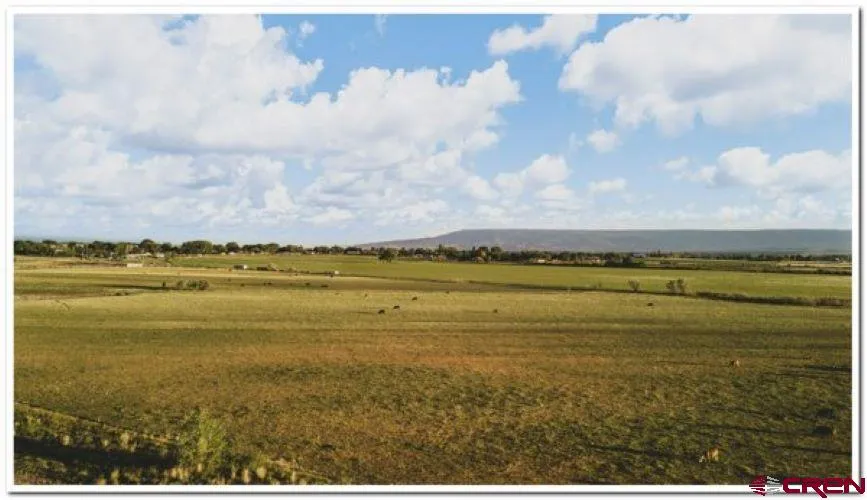 61067 HWY-50 Montrose, CO 81401