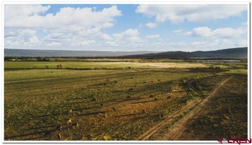 61067 HWY-50 Montrose, CO 81401