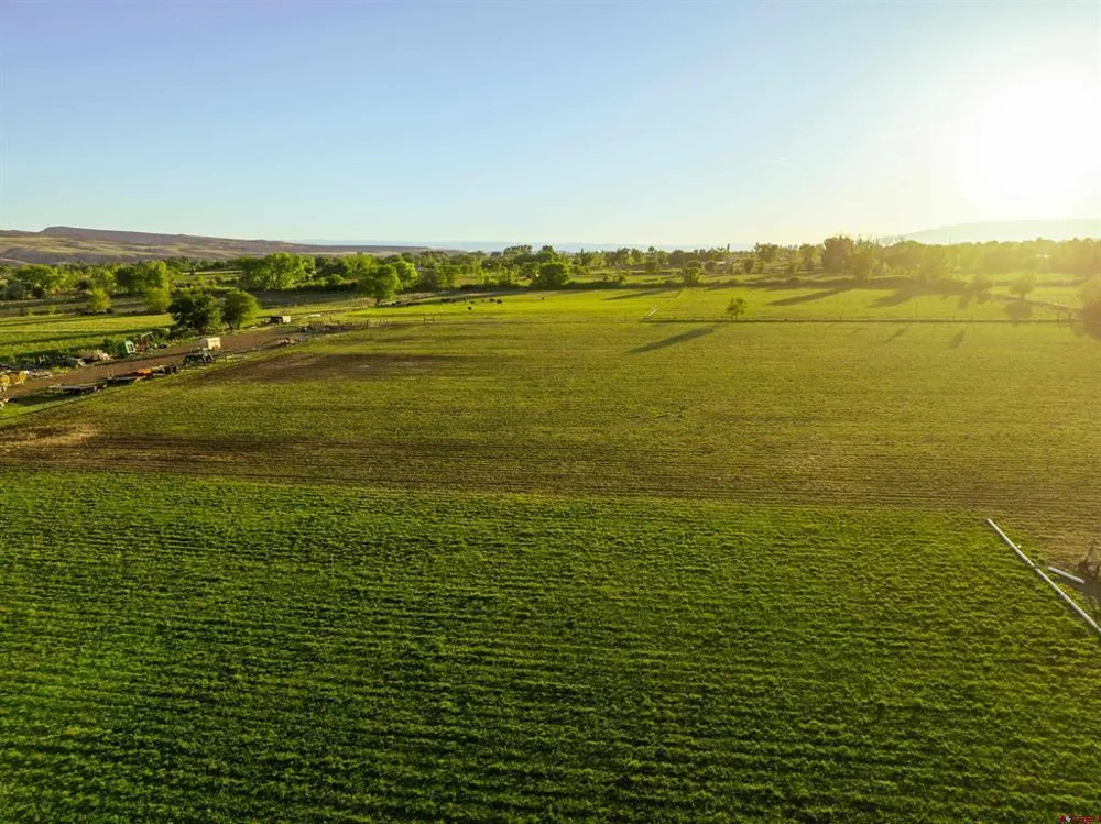 9627 3200 ROAD Hotchkiss, CO 81419