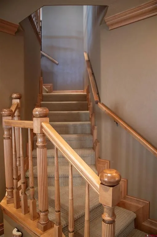 545 Timberline Trail South Fork, CO 81154