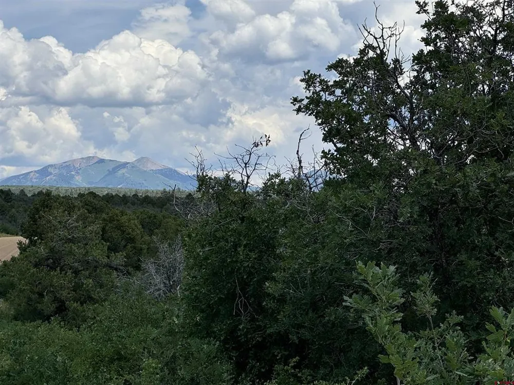 De Oro Way Lot 29 Hesperus, CO 81326
