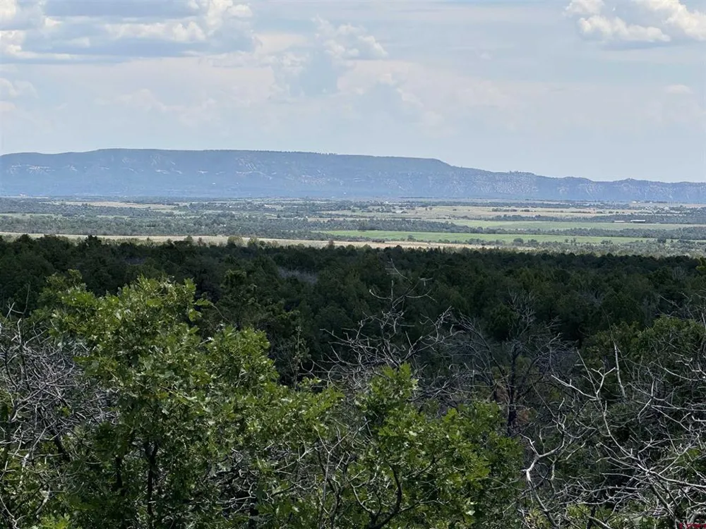De Oro Way Lot 29 Hesperus, CO 81326