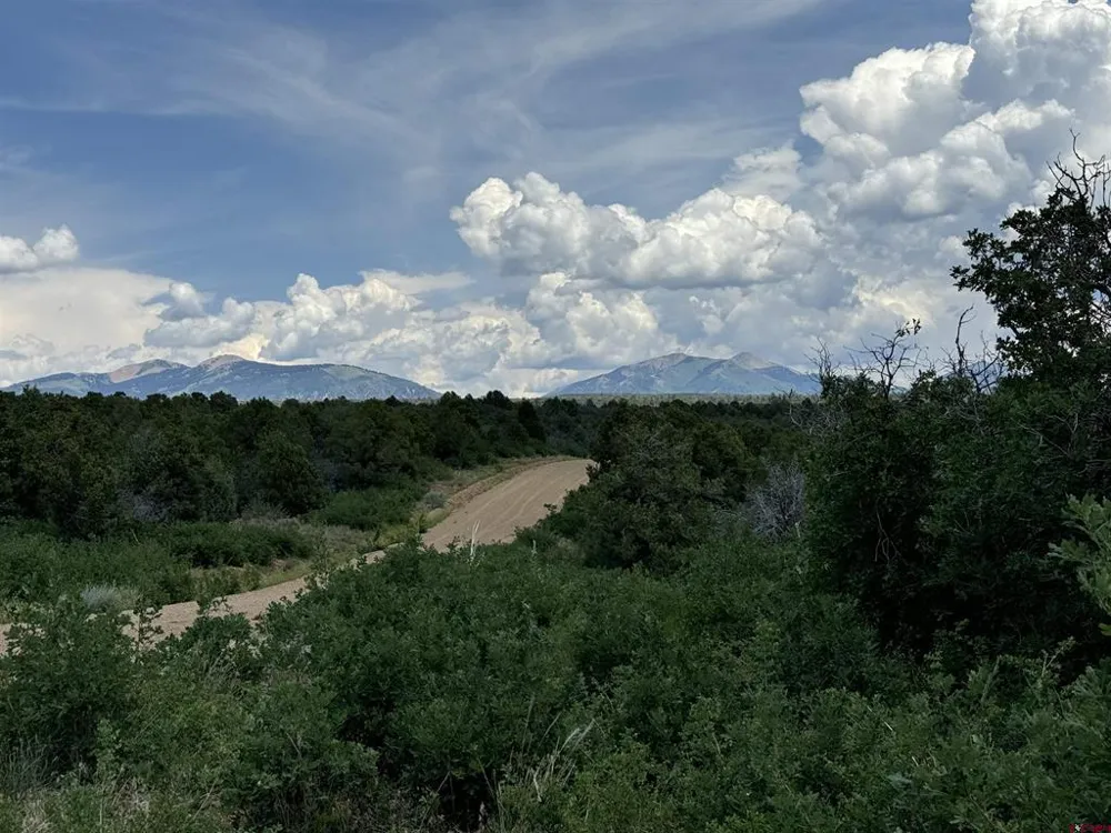De Oro Way Lot 29 Hesperus, CO 81326
