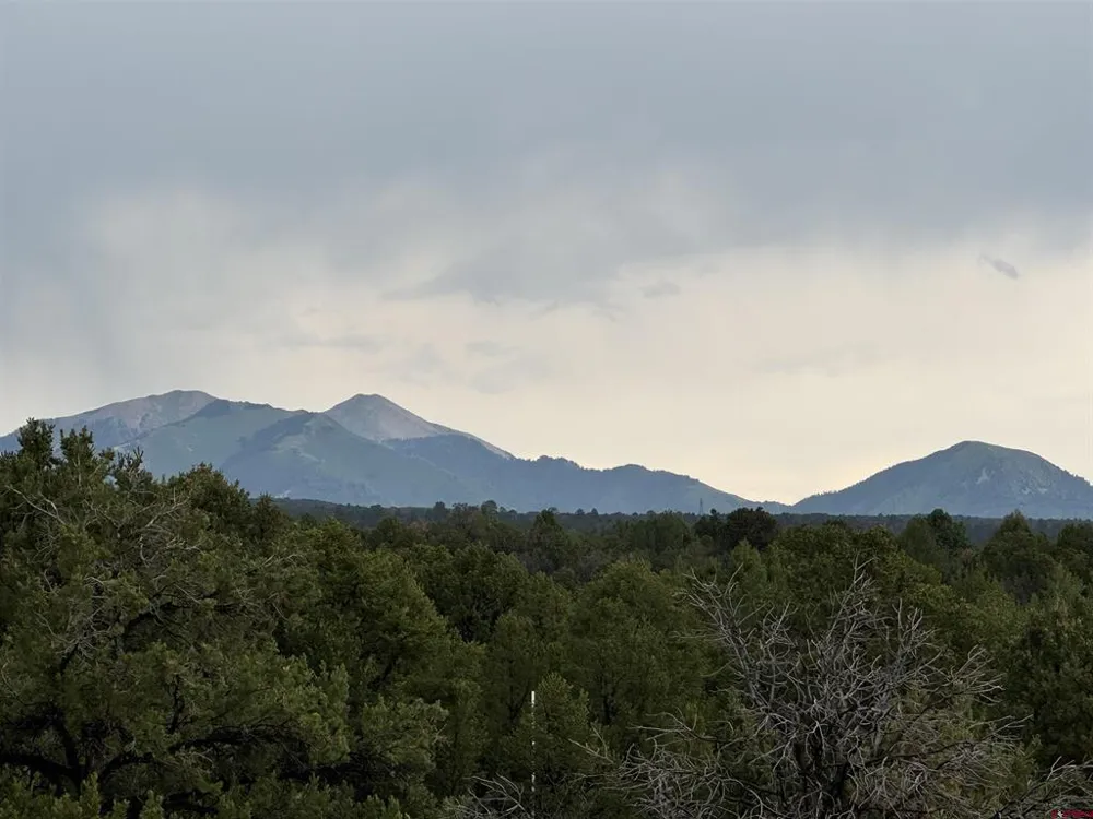 De Oro Way Lot 29 Hesperus, CO 81326