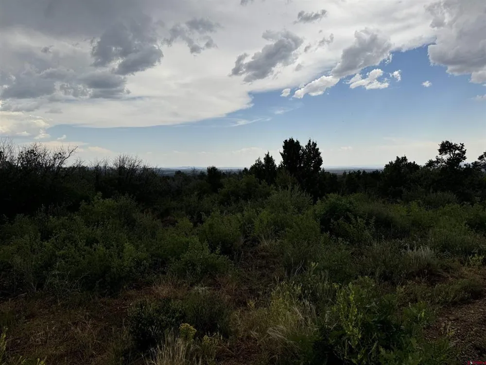 De Oro Way Lot 29 Hesperus, CO 81326