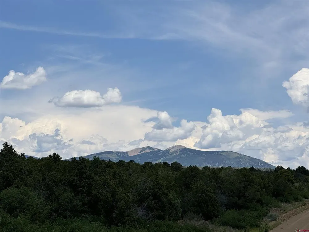 De Oro Way Lot 29 Hesperus, CO 81326