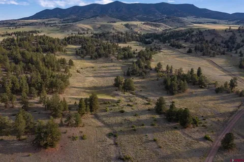 Ranch
