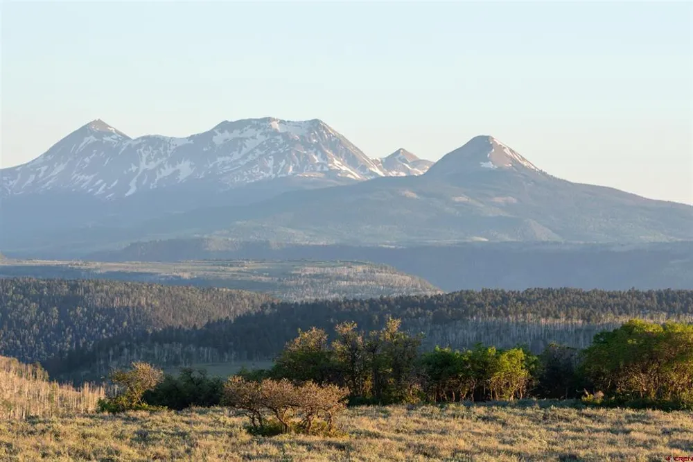 842 Ranch Road Placerville, CO 81430