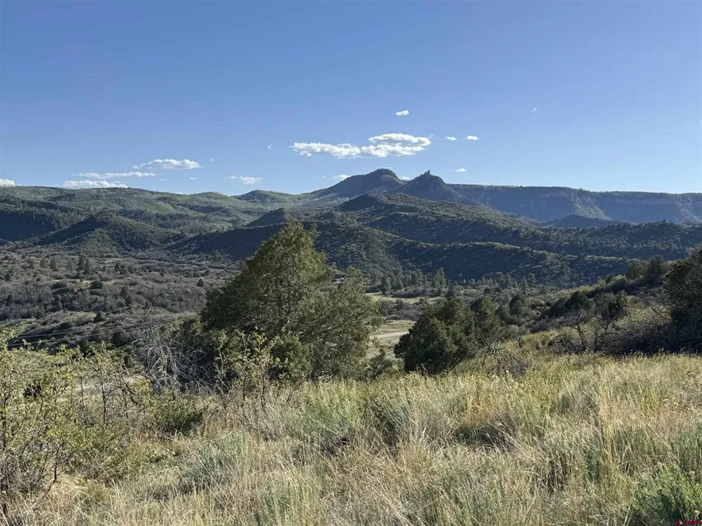 4625 Road 31 Lot 20 Dolores, CO 81323
