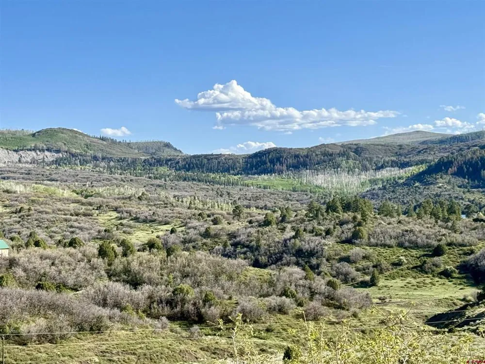 4625 Road 31 Lot 20 Dolores, CO 81323
