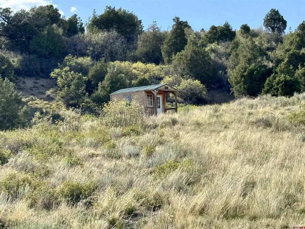 4625 Road 31 Lot 20 Dolores, CO 81323