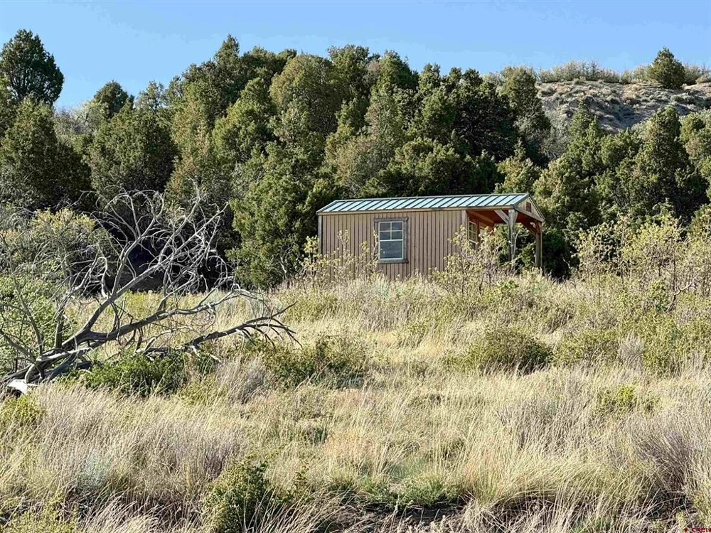 4625 Road 31 Lot 20 Dolores, CO 81323
