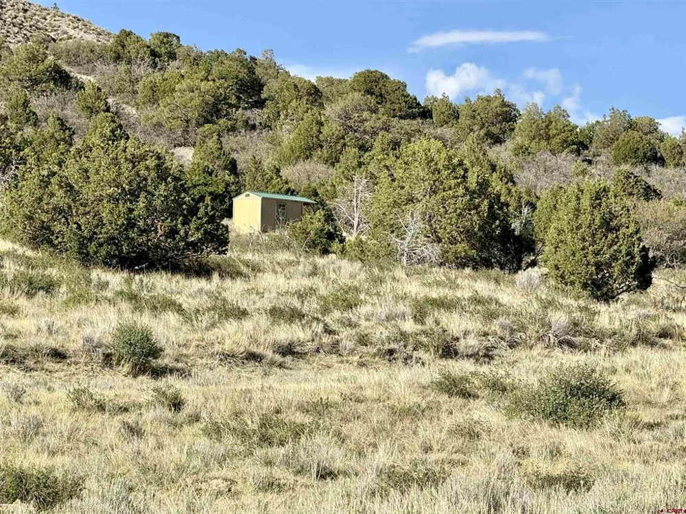 4625 Road 31 Lot 20 Dolores, CO 81323