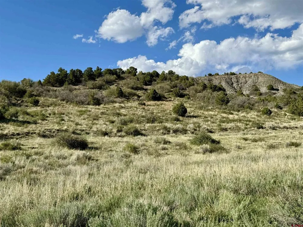 4625 Road 31 Lot 20 Dolores, CO 81323