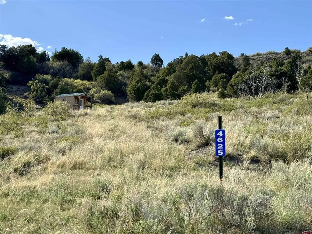 4625 Road 31 Lot 20 Dolores, CO 81323